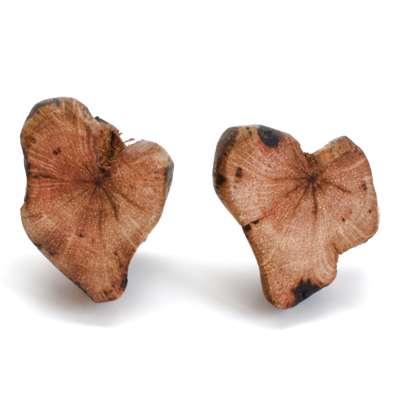 Náušnice ze dřeva z vinnné révy